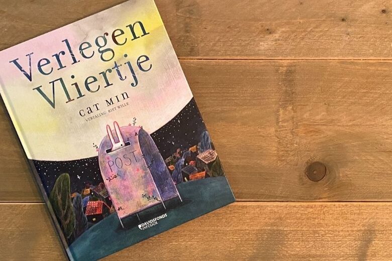 VerlegenVliertjeBoek